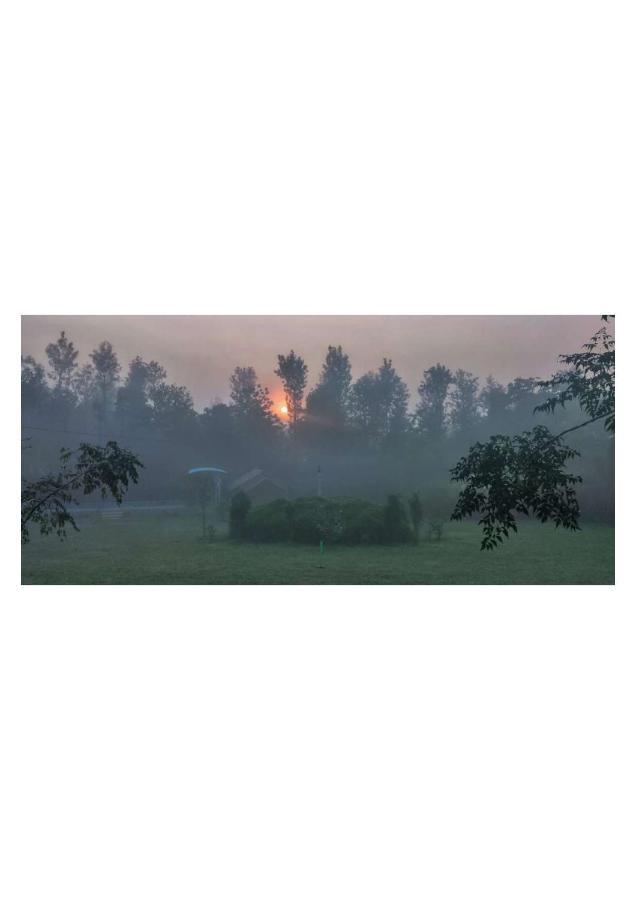 The Horse & Chariot Hotel Madikeri Ngoại thất bức ảnh