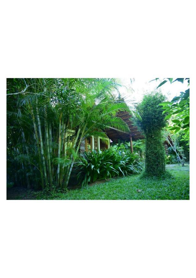 The Horse & Chariot Hotel Madikeri Ngoại thất bức ảnh